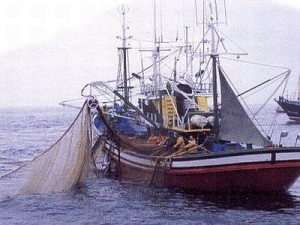 nave-da-pesca