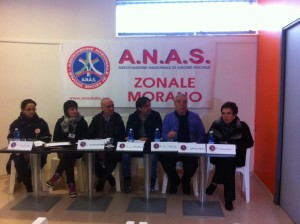 anas morano