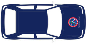 Ford anas