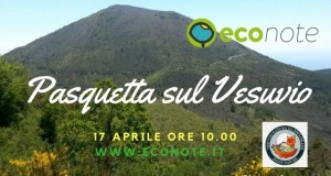 pasquetta-2017-vesuvio-per-econote