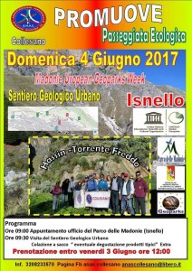 img-20170529-wa0000