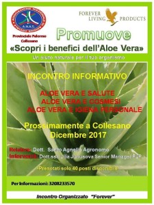 img-20171117-wa0007