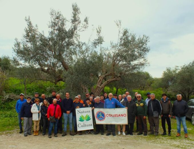 Successo a Bagheria di partecipazione per il Corso di Potatura, in olivicoltura “fra tradizione e innovazione”  8-9 marzo 2024