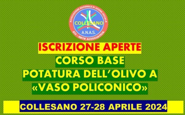Collesano 27 – 28 Aprile 2024- Al via  IX° corso base di potatura dell’olivo a vaso policonico